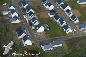 P1660174 2024 03 11 Allée Des Aigrettes, Allée Des Spatules